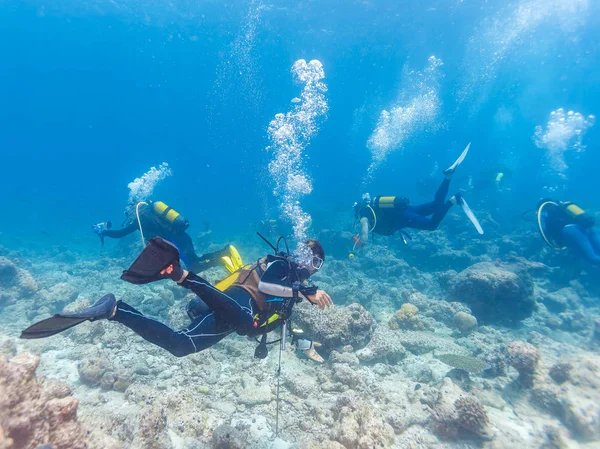 Explorer la Presqu'île de Giens avec un club de plongée