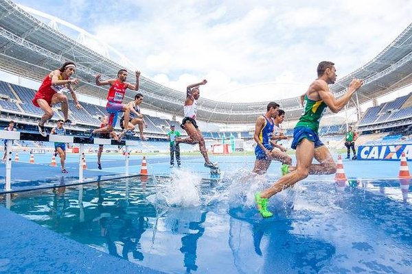 Quels sont les soutiens et les partenaires des sportifs de haut niveau?